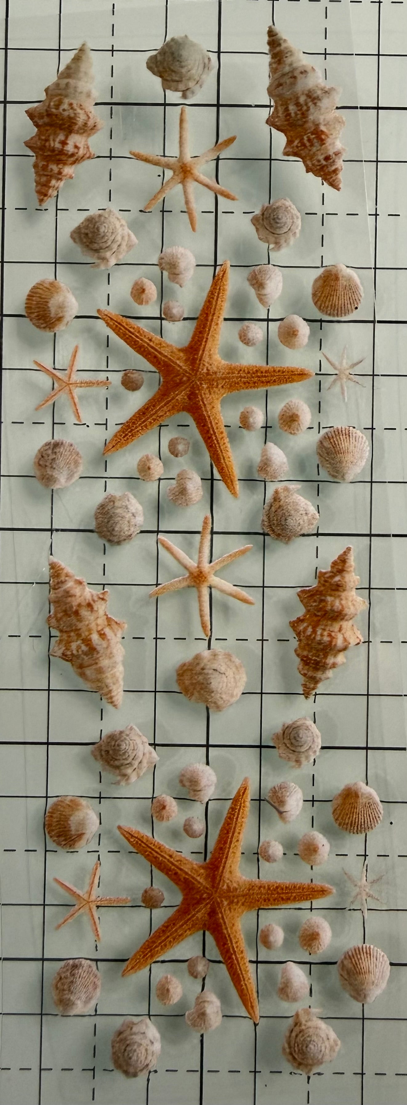 586